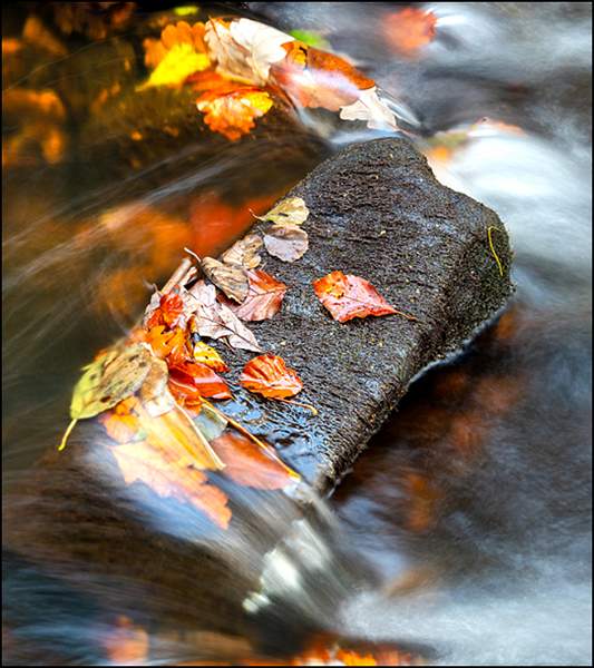 PG No 5 - Bottom Middle.jpg